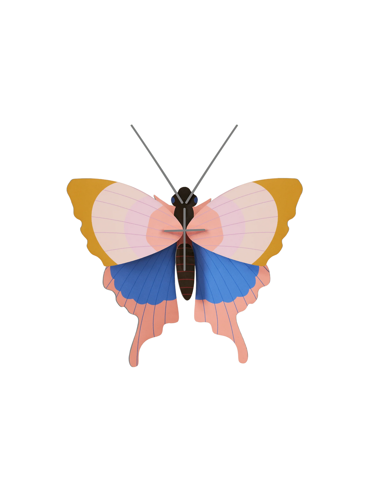 Gold Rim Butterfly