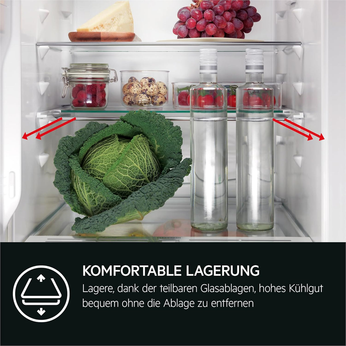 AEG TSK5O881ES Built-In Fridge / 880 mm / 142 L/Tow Door/E
