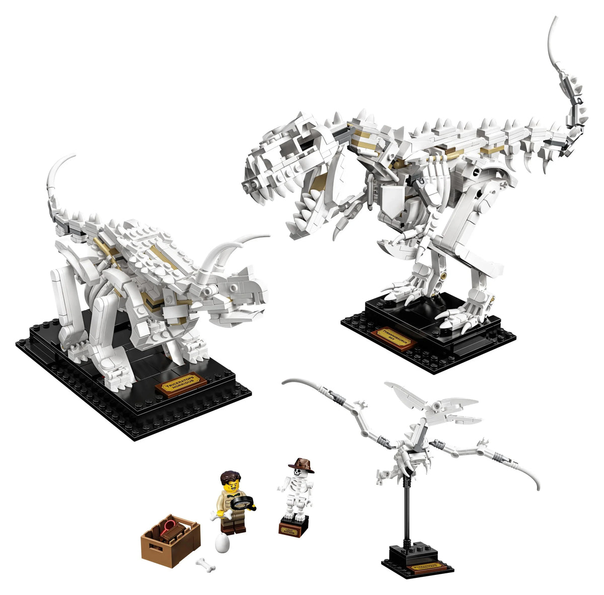 LEGO Ideas 21320 Fósiles de Dinosaurios – Set de Construcción (910 Piezas)