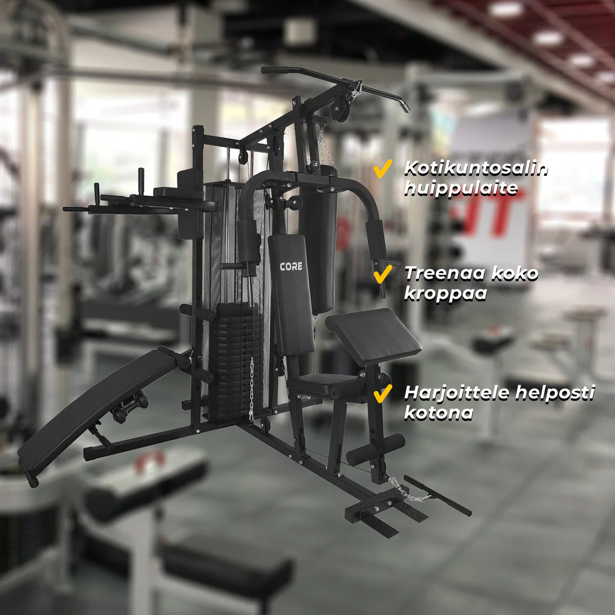 Core Kraftstation 100kg