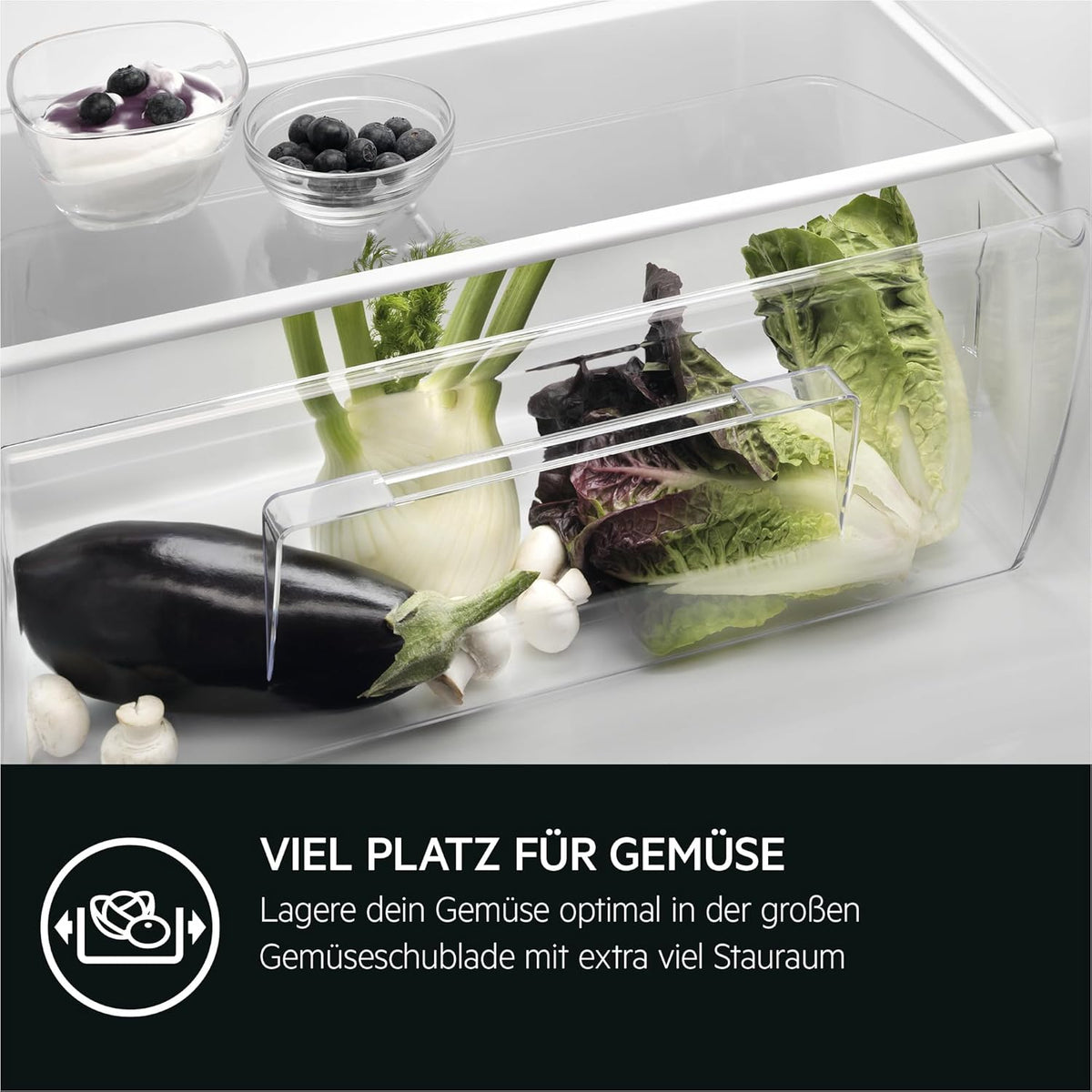 AEG TSK5O881ES Built-In Fridge / 880 mm / 142 L/Tow Door/E