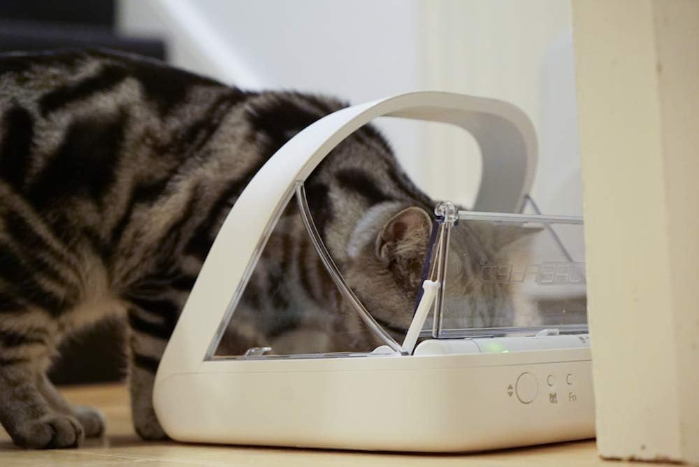 Sure Petcare SureFeed Mikrochip-Futterautomat für Haustiere, mit dichtem Deckelverschluss, kompatibel mit RFID-Halsbandanhänger, geeignet für Nass- und Trockenfutter, batteriebetrieben, weiß