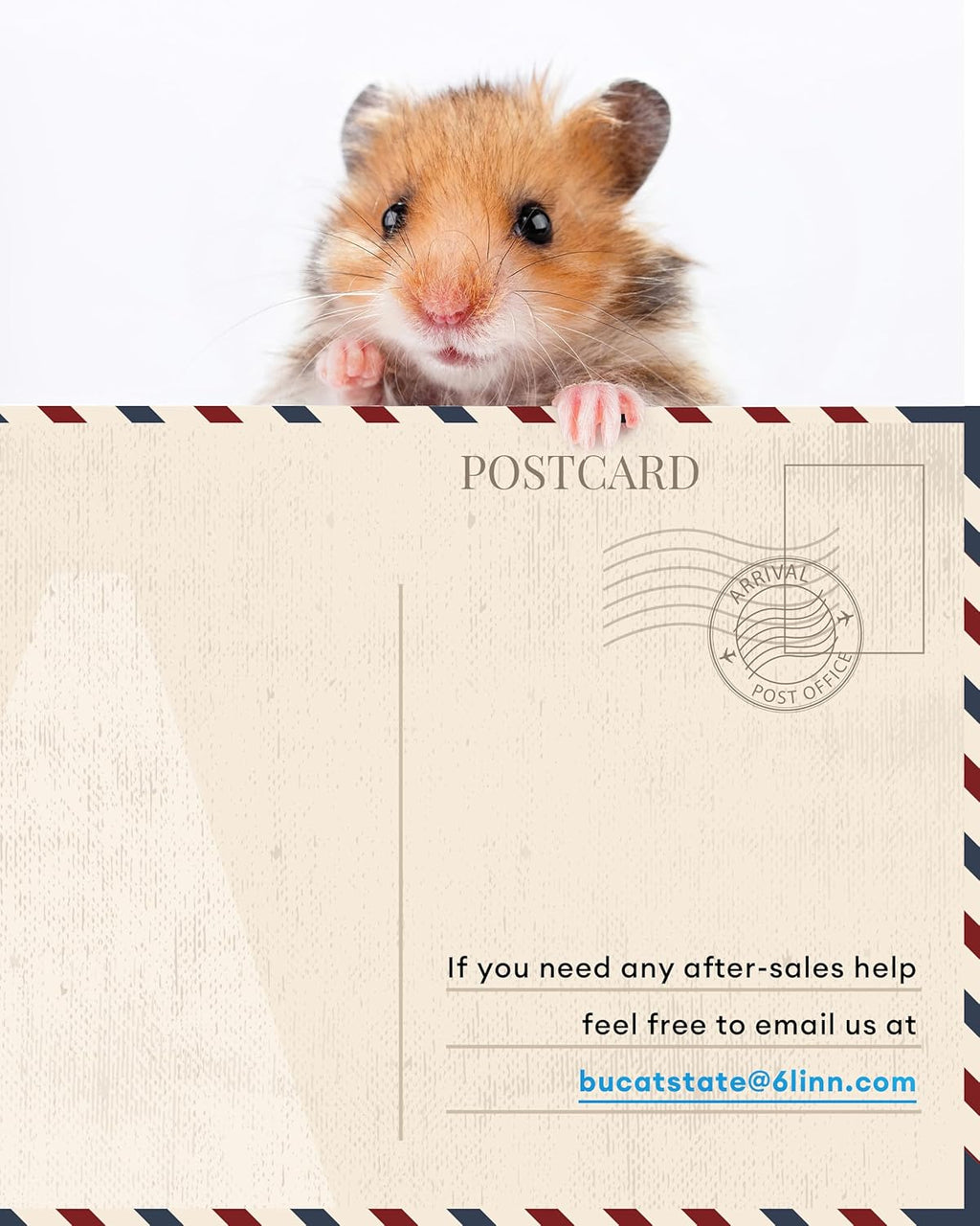 BUCATSTATE Hamsterkäfig 3,0: Metall Rattenkäfig Kleintierkäfig Groß Stapelbar mit Einfacher Montage 120L x 60W x 62H cm für Nager, Mäuse, Zwerghamster (0,72m², Weiß)