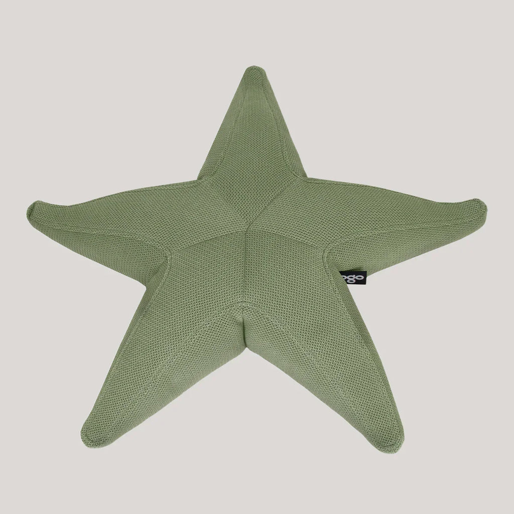 Estrella flotante Starfish