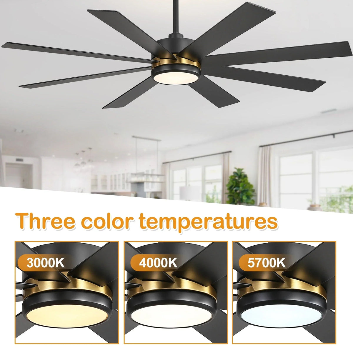 65 Inch 8-Blade Black LED Ceiling Fan with Light and Remote