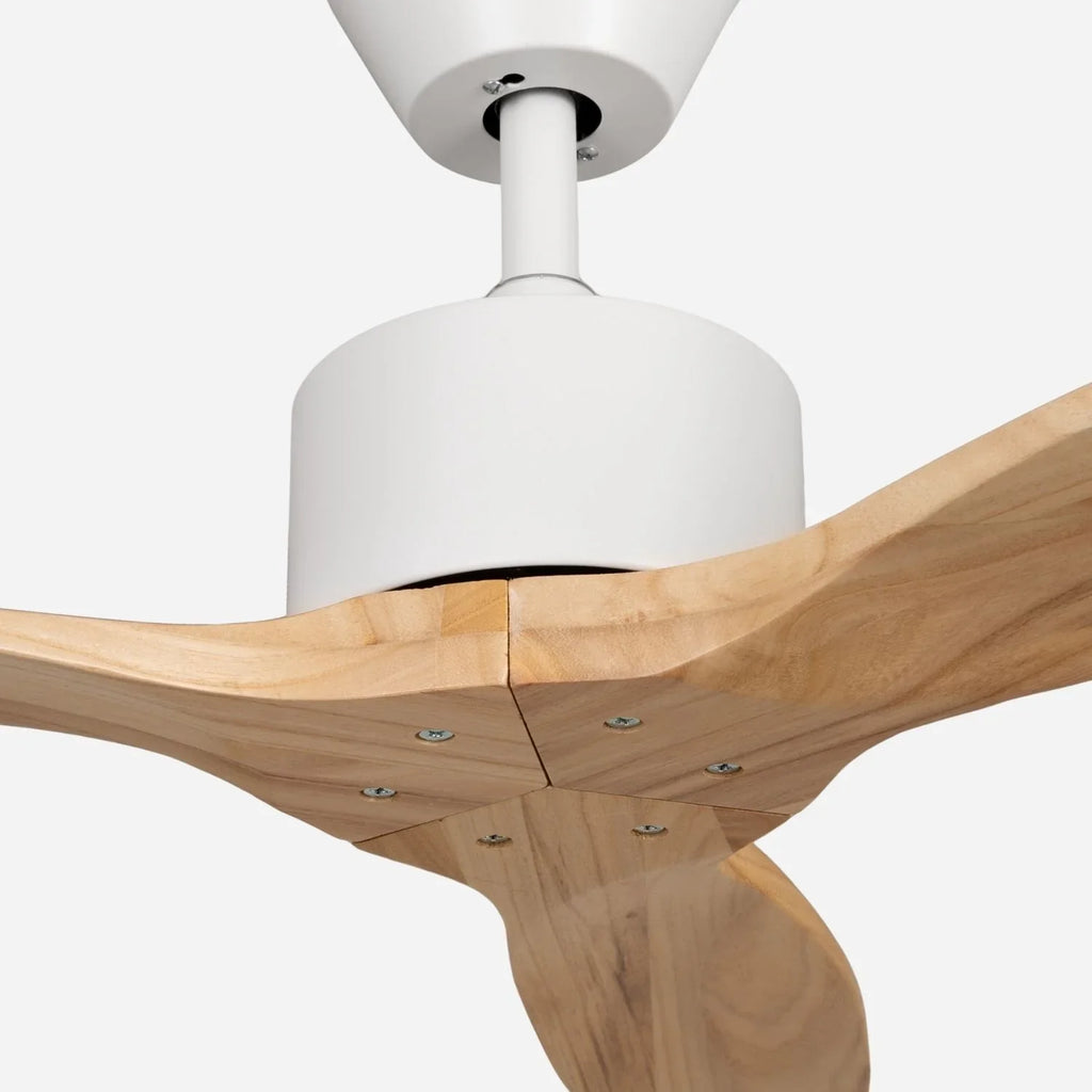 Brizy Light Wood
