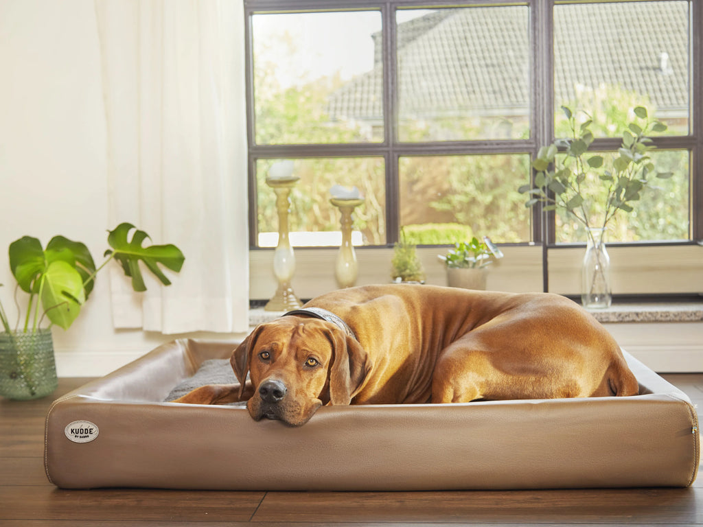 Hundebett KUDDE