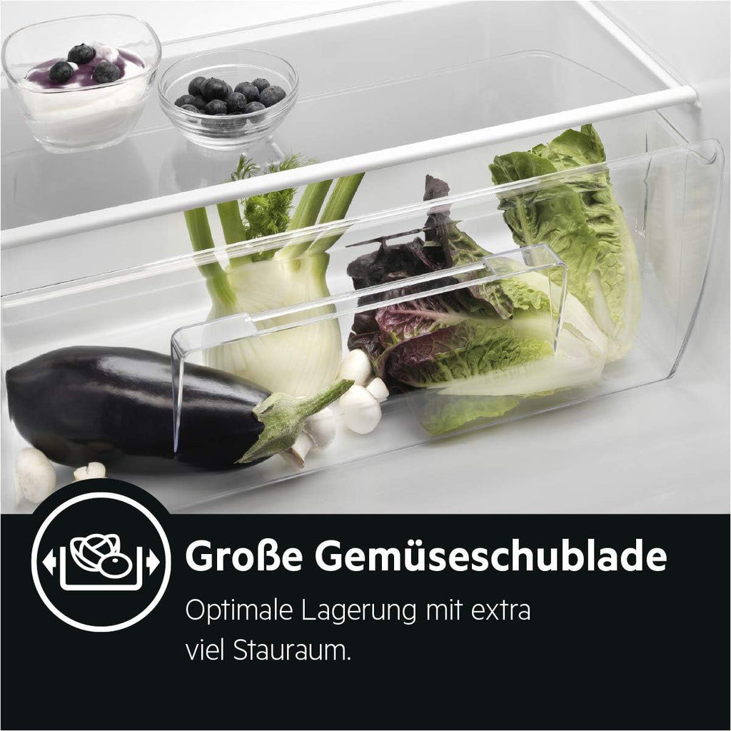 AEG TSK5O881ES Built-In Fridge / 880 mm / 142 L/Tow Door/E
