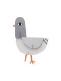 Paddy Pigeon